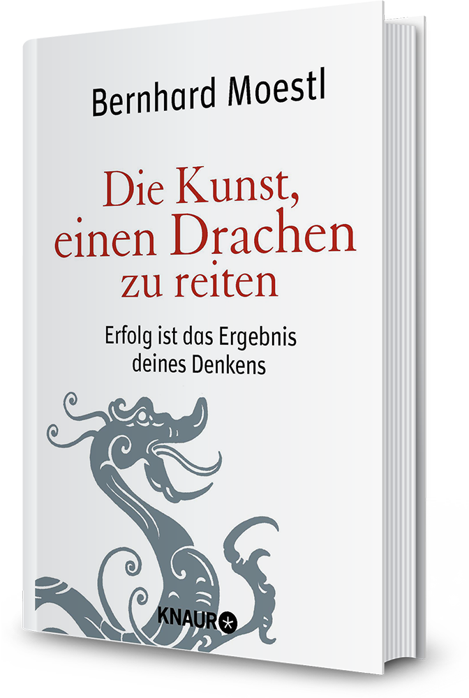 Die Kunst, einen Drachen zu reiten